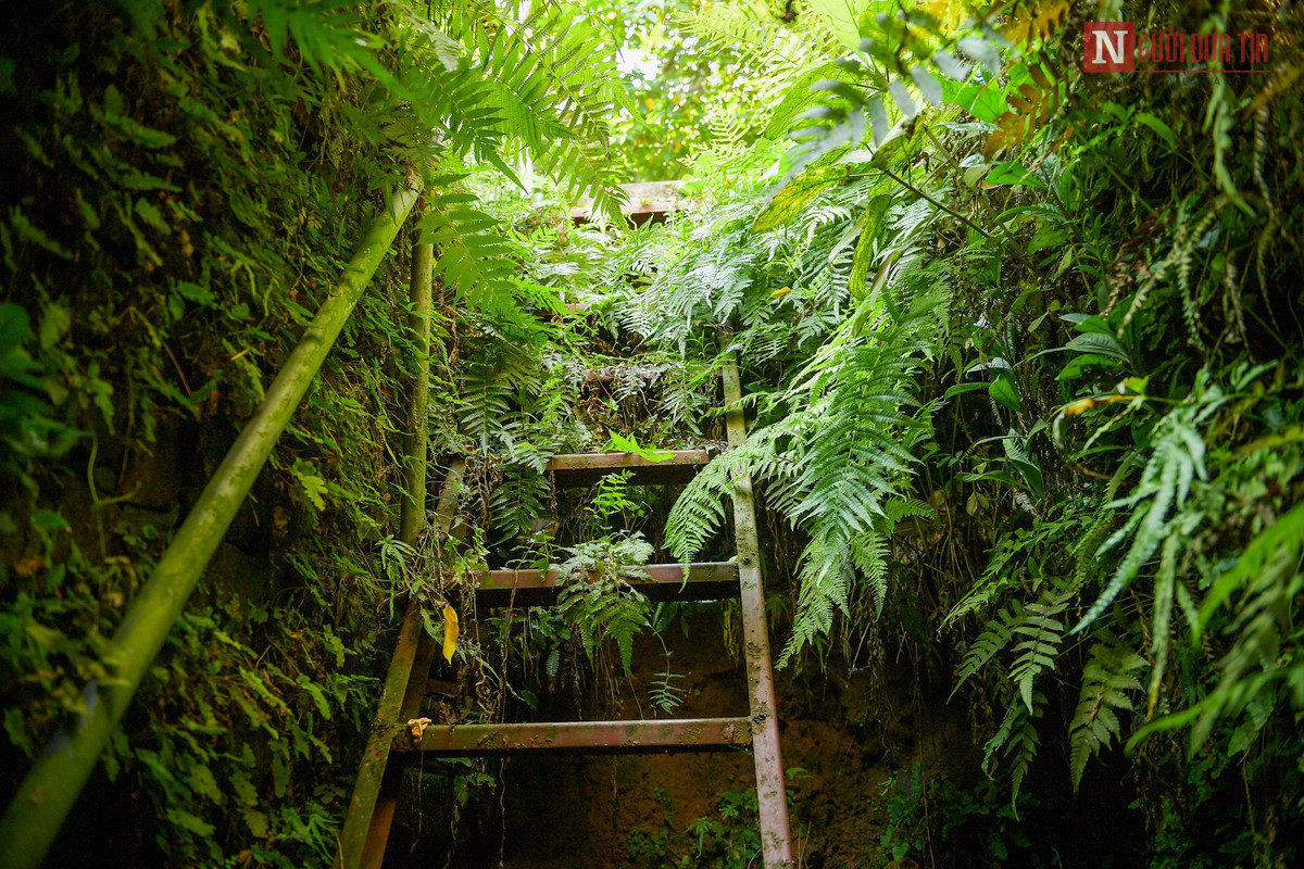 Các hang này ở sâu dưới lòng đất khoảng chừng 4m, cửa chính thông lên phía sau hậu cung đình Quán La.