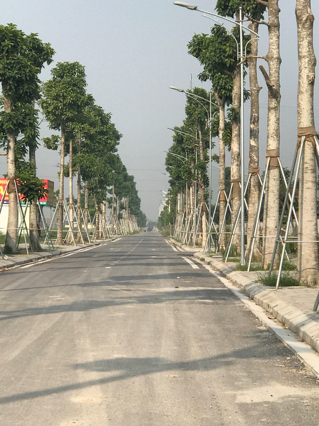 Khu pho Thanh Ha dang thay da doi thit tung ngay-Hinh-7