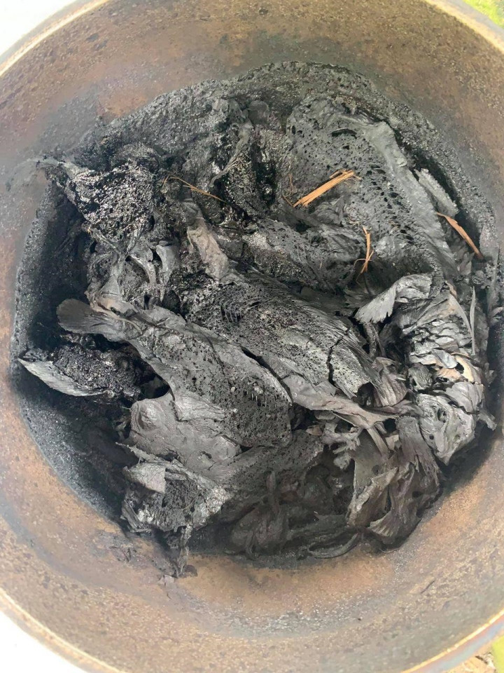 Hẳn là phải có lý do gì đó chứ không thể có người đãng trí đến mức để nồi gà cháy đen đến không còn nhận dạng được thế này.