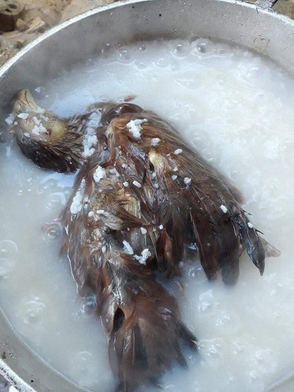 Nấu cháo gà nguyên cả lông như thế này quả thực khiến người ăn không dám đụng đũa.