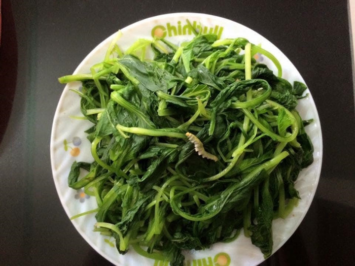 Tự dặn lòng rau sạch nên có sâu là chuyện rất bình thường.