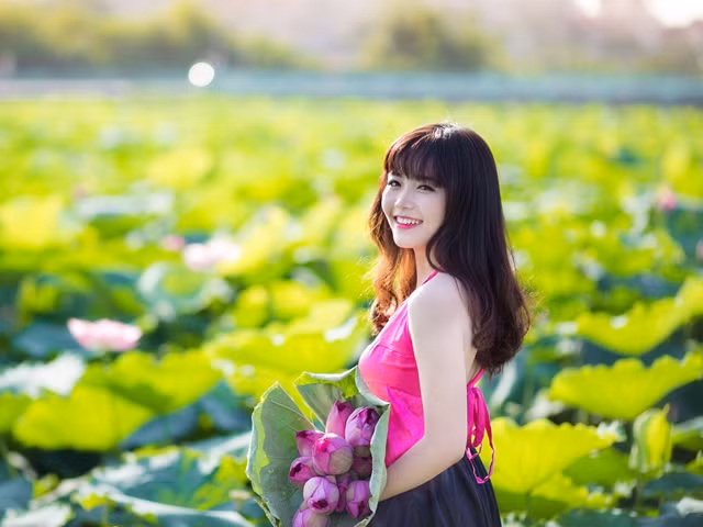  Chụp ảnh hoa sen đang là trào lưu của các hội chị em mỗi mùa sen nở rộ.