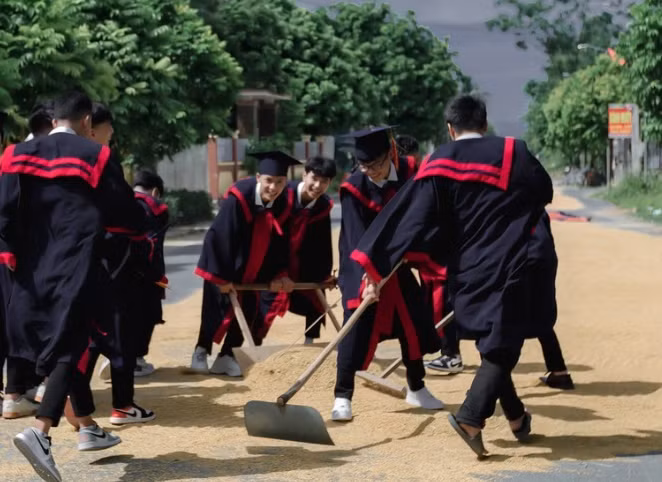 Không quá cầu kỳ nhưng bộ ảnh kỷ yếu cào thóc “chạy mưa” giúp dân này đã nhận về rất nhiều lời khen của cộng đồng mạng bởi sự độc đáo, ấn tượng và vô cùng đặc biệt.