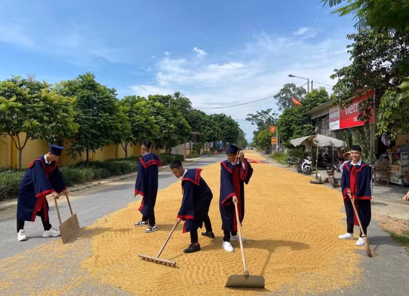 Bộ ảnh kỷ yếu của lớp 12D, Nghệ An mới đây đã làm netizen thích thú. Trong ảnh, các bạn học sinh mặc trang phục áo cử nhân đang vội vàng cào thóc được phơi dưới lòng đường giúp người dân.
