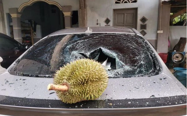 Ngay sau khi câu chuyện kèm những hình ảnh này được chia sẻ đã gây được sự chú ý của cư dân mạng. Nhiều người cho rằng do chủ xe đỗ xe mà không chú ý nên không thể bắt đền ai được. Hiện trường hợp này vẫn đang gây được sự chú ý trên mạng xã hội.