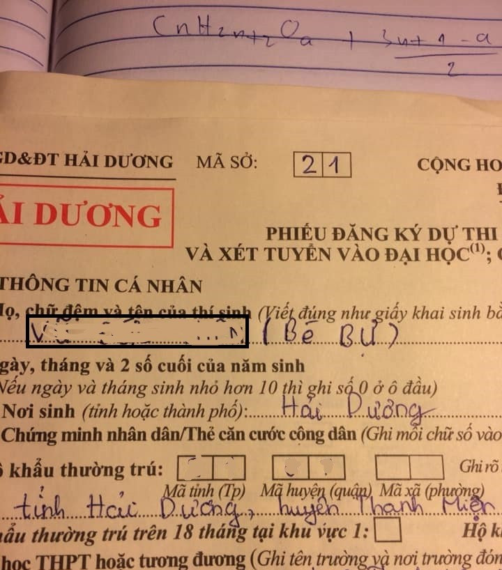 Với những bộ hồ sơ này, chắc hẳn sau này rời ghế nhà trường, đó sẽ là những kỷ niệm khó quên với những cô cậu học sinh. Ảnh: Tổng hợp Facebook
