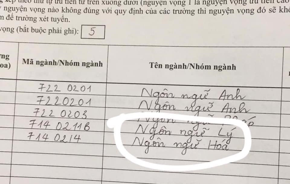 Có những người “dành cả thanh xuân để ghi hồ sơ” quả không sai, chủ nhân của bộ hồ sơ này có lẽ đã phải tự bật cười khi nhận ra sự sáng tạo của bản thân với chuyên ngành mới là Ngôn ngữ Lý, Ngôn ngữ Hóa.