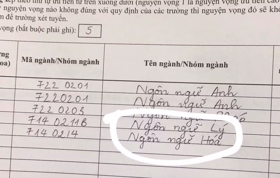 Có những người “dành cả thanh xuân để ghi hồ sơ” quả không sai, chủ nhân của bộ hồ sơ này có lẽ đã phải tự bật cười khi nhận ra sự sáng tạo của bản thân với chuyên ngành mới là Ngôn ngữ Lý, Ngôn ngữ Hóa.