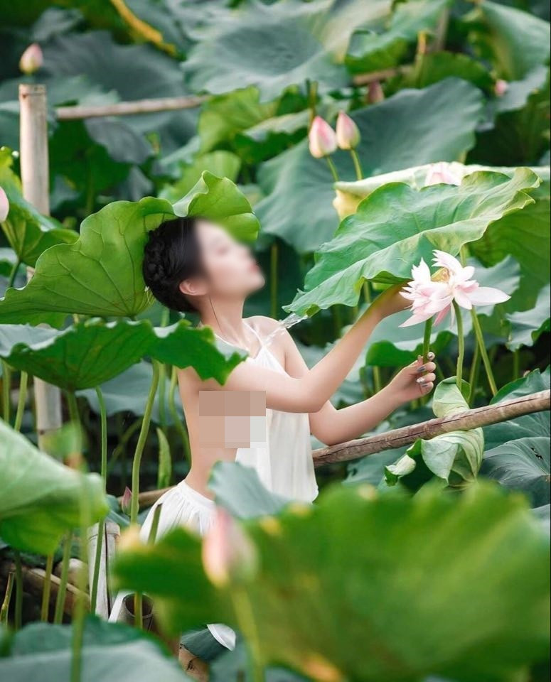 Mỗi lần chia sẻ hình ảnh các thiếu nữ mặc phản cảm chụp ảnh ở hồ sen, dưới phần bình luận không ít cư dân mạng để lại ý kiến phản đối, tỏ ta phẫn nộ.