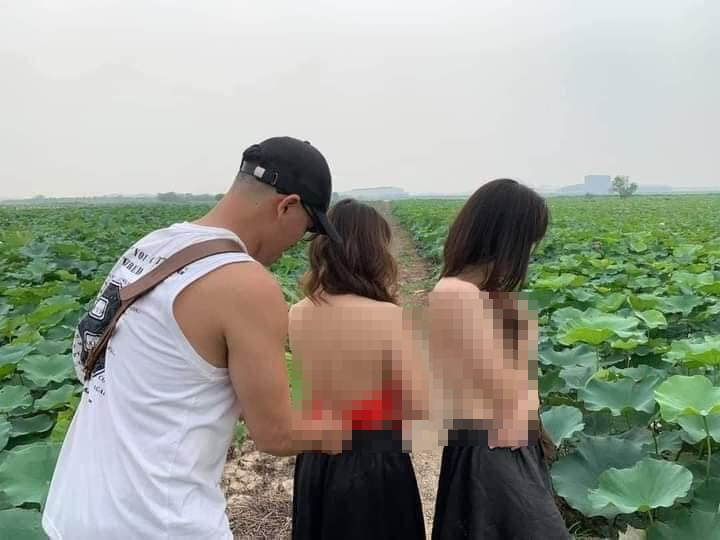 Không hiểu vì lý do gì mà nhiều người rất thích tạo dáng phản cảm, gây sốc trong hồ sen. Việc ăn mặc hớ hênh, lợi dụng áo yếm và sen để khoe thân, tìm kiếm sự nổi tiếng hay thu hút sự chú ý đã nhiều lần làm netizen lên tiếng phản đối.