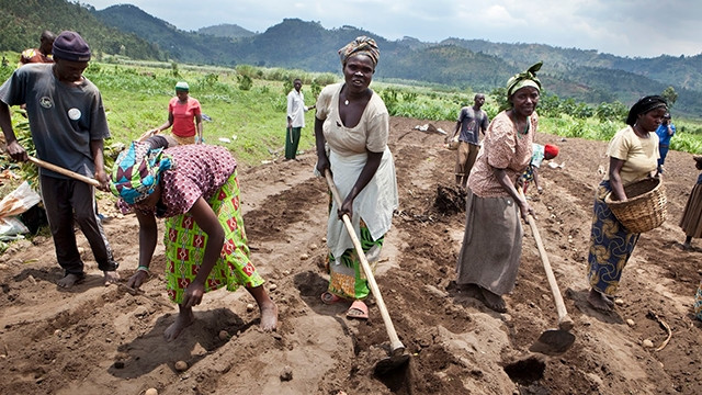 Đặc biệt đất đai bị suy thoái đến mức khó có thể trồng được bất cứ loại cây gì đang là vấn đề nghiêm trọng ở Châu Phi. 72% đất canh tác và 31% đất đồng cỏ ở châu Phi được đánh giá là bị suy thoái.
