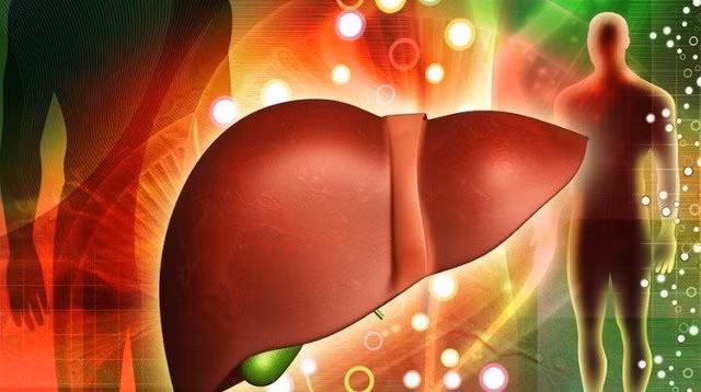 Khả năng tái sinh của gan cực tốt, dù có bị cắt đi 75% thì chúng vẫn có thể khôi phục lại bình thường. Trong cơ thể con người, chỉ có gan có năng lực kỳ diệu này.