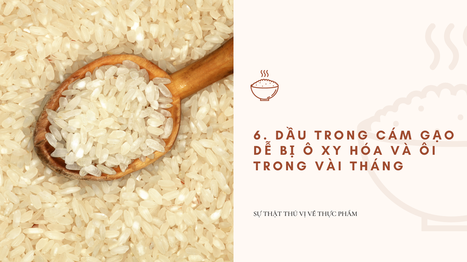  Dầu trong cám gạo dễ bị ô xy hóa và ôi trong vài tháng: Vì vậy, người ta thường “đánh bóng” gạo, hay xát, để tăng thời hạn sử dụng. Việc này để lại đúng phần nhân, chủ yếu là tinh bột, gọi là nội nhũ. Những tinh thể tinh bột được nén chặt trong nội nhũ màu như phấn và hầu như không ăn được nếu chưa nấu chín. Ảnh: Miri.