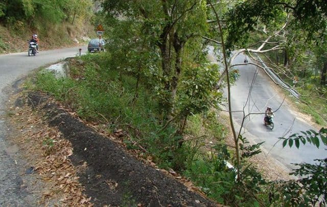 Khi lên tới đỉnh đèo nhìn xuống, chỉ dưới chỉ thấy bờ vực dốc đứng, sâu thẳm, lấp ló qua những rặng thông.