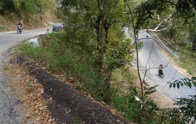 Khi lên tới đỉnh đèo nhìn xuống, chỉ dưới chỉ thấy bờ vực dốc đứng, sâu thẳm, lấp ló qua những rặng thông.