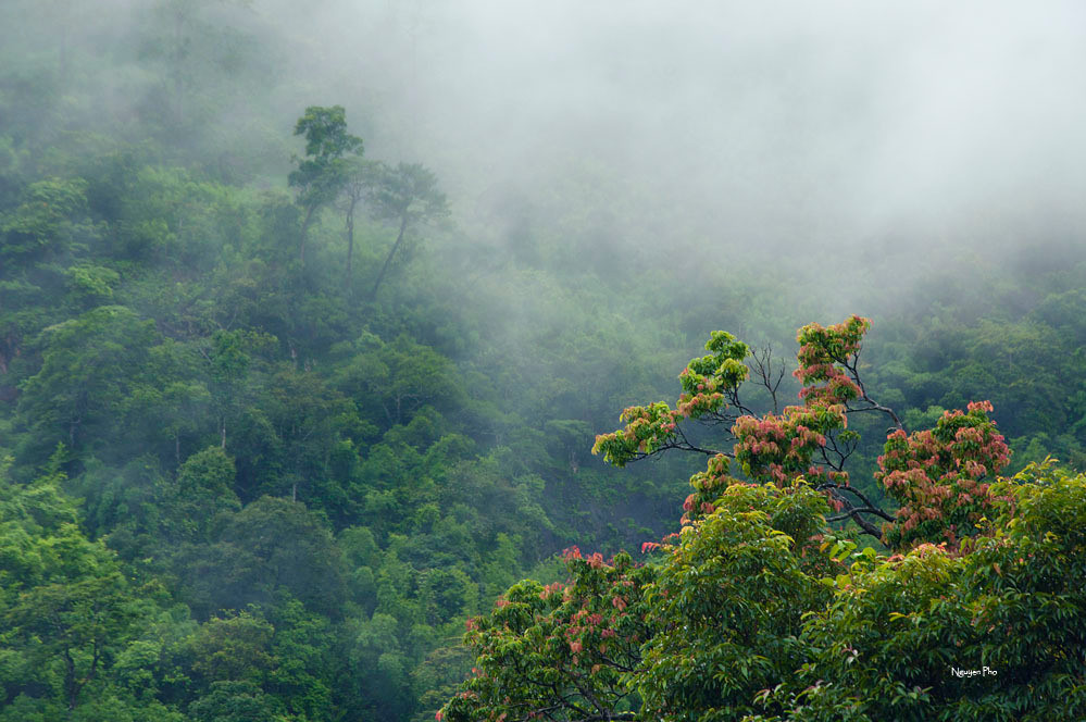 Lên tới đỉnh đèo là mây phủ trắng xóa, tầng tầng lớp lớp chồng lên nhau. Đây là nơi “giao điểm” giữa đất và trời.