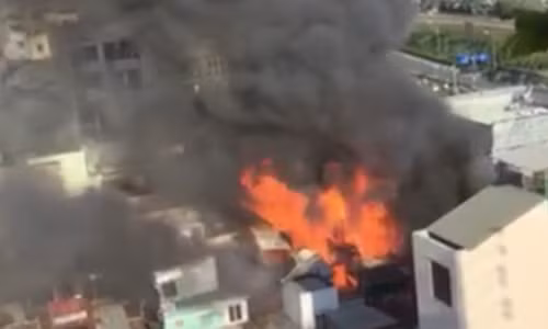 Tham lai khu hoa hoan cho Ga nhung ngay giap Tet-Hinh-9