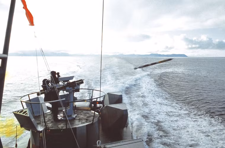 Tàu đổ bộ Endurance cũng được vũ trang nhẹ gồm bệ phóng tên lửa phòng không Simbad với tên lửa Mistral đạt tầm bắn hiệu quả 6km...