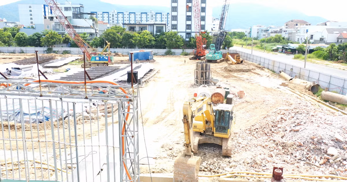 Can canh Du an The Muse Da Nang, Tap doan Dong Do bi 