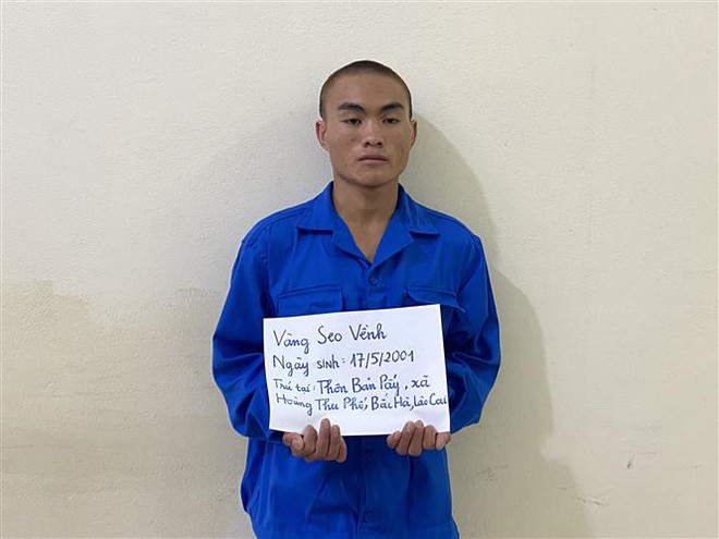 Quá trình xác minh được biết, Vềnh và cháu M. là anh em cùng cha, khác mẹ. Giữa anh Chà và Vềnh thường xuyên xảy ra mâu thuẫn, cãi vã liên quan tới việc phân chia tài sản. Nhận định Vềnh là nghi can số 1 liên quan tới cái chết của cháu M, Công an huyện Bắc Hà đã khẩn trương huy động lực lượng truy bắt. Chiều 7/5, trong quá trình lẩn trốn tại địa phận xã Sín Chéng, huyện Si Ma Cai, Vềnh đã bị lực lượng chức năng khống chế, bắt giữ.