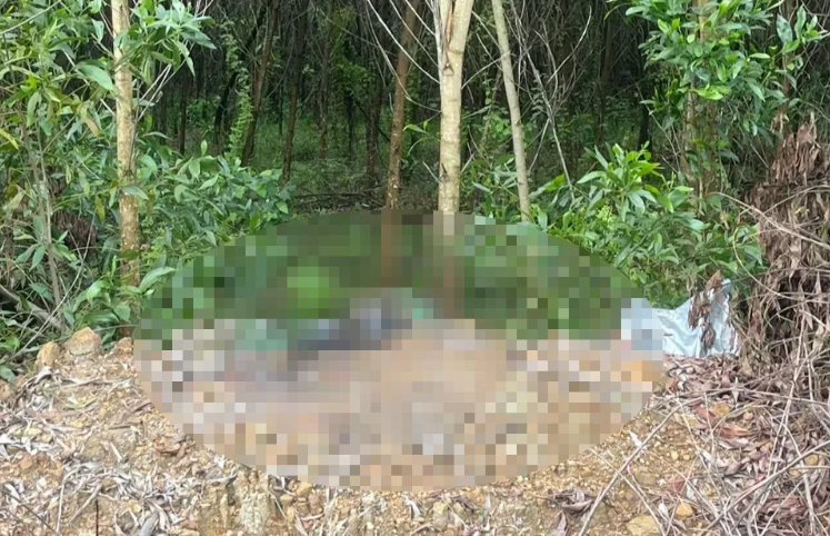 Bất chấp đêm tối, Vềnh cùng mọi người tỏa ra mọi ngã đường để tìm kiếm M. Khi mọi nỗ lực đang rơi vào bế tắc, thì khoảng 23h cùng ngày, mọi người như chết lặng khi nhìn thấy Vềnh vừa đi, vừa khóc, bế xác em trai trở về nhà. Trên khắp người cháu M. lấm lem bùn đất. Khi gia đình gặng hỏi, Vềnh nói tìm thấy em nằm tử vong ở rãnh nước trong rừng vầu. (Ảnh minh họa, nguồn internet) 