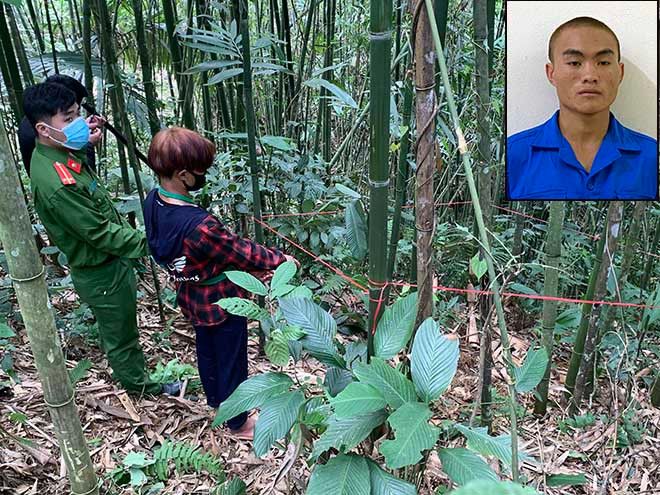 Gây án xong, Vềnh trở về nhà rồi tạo dựng nên màn kịch gần như hoàn hảo để nhằm che mắt mọi người. Khoảng 20h cùng ngày, sợ thi thể em trai bị phát hiện, Vềnh đến hiện trường bới đất lấy xác em trai rồi bế đi nơi khác phi tang. Tuy vậy, trong lúc di chuyển, Vềnh bất ngờ gặp một người dân địa phương nên kế hoạch bị đổ vỡ. Đối tượng nhanh chóng chuyển hướng bảo vừa phát hiện ra thi thể em trai, đang mang về nhà. Với hành vi phạm tội vô cùng tàn độc của mình đối tượng đã phải trả giá trước pháp luật. 