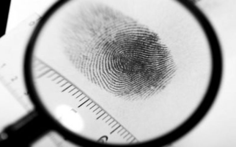 Việc Lực xuất hiện tại nhà vào ngày 3/12/2016, đúng vào thời điểm bà G. bị sát hại khiến anh ta trở thành kẻ tình nghi số 1. Khi được hỏi, tất cả người thân, bạn bè của Lực đều không biết gã đang ở đâu, làm gì. Toàn bộ các thiết bị liên lạc như điện thoại, mạng xã hội của Lực đều trong trạng thái tắt nguồn. Quá trình thu thập chứng cứ, giám định dấu vết và đánh giá các lời khai từ nhân chứng, Ban chuyên án đủ cơ sở để tin rằng Lực chính là hung thủ gây ra cái chết của bà G. Tuy nhiên, vấn để đặt ra hiện tại là Lực đang ở đâu? (Ảnh minh họa, nguồn internet) 