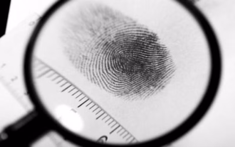 Việc Lực xuất hiện tại nhà vào ngày 3/12/2016, đúng vào thời điểm bà G. bị sát hại khiến anh ta trở thành kẻ tình nghi số 1. Khi được hỏi, tất cả người thân, bạn bè của Lực đều không biết gã đang ở đâu, làm gì. Toàn bộ các thiết bị liên lạc như điện thoại, mạng xã hội của Lực đều trong trạng thái tắt nguồn. Quá trình thu thập chứng cứ, giám định dấu vết và đánh giá các lời khai từ nhân chứng, Ban chuyên án đủ cơ sở để tin rằng Lực chính là hung thủ gây ra cái chết của bà G. Tuy nhiên, vấn để đặt ra hiện tại là Lực đang ở đâu? (Ảnh minh họa, nguồn internet) 