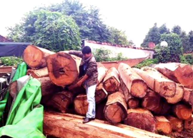 Khoảng 1h30 ngày 6/10/2016, đoàn xe ô tô chở gỗ do Nguyễn Mạnh Hùng, Nguyễn Hữu Thuộc và Nguyễn Mạnh Tuấn đứng "đằng sau", đi từ Kon Tum qua chốt gác Sê San 4 về Gia Lai. Khi đến địa phận làng Kom Ngó, xã Ia Chía, huyện Ia Grai, Gia Lai, các đối tượng bị lực lượng tuần tra Đồn Biên phòng Ia Chía và Ia O của tỉnh Gia Lai kiểm tra, bắt giữ. 