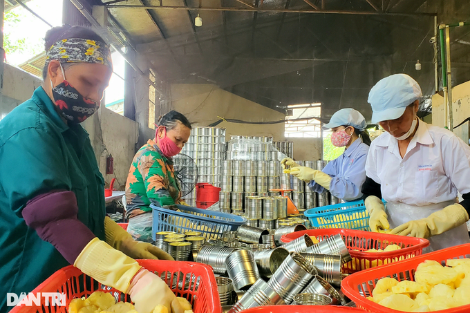 Thầy giáo tiểu học khởi nghiệp chế biến nông sản thu chục tỷ mỗi năm - Hình 4 Thay giao tieu hoc khoi nghiep che bien nong san thu chuc ty moi nam-Hinh-4