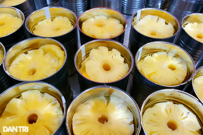 Thầy giáo tiểu học khởi nghiệp chế biến nông sản thu chục tỷ mỗi năm - Hình 3 Thay giao tieu hoc khoi nghiep che bien nong san thu chuc ty moi nam-Hinh-3