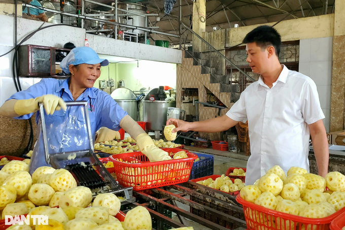 Thầy giáo tiểu học khởi nghiệp chế biến nông sản thu chục tỷ mỗi năm Thay giao tieu hoc khoi nghiep che bien nong san thu chuc ty moi nam