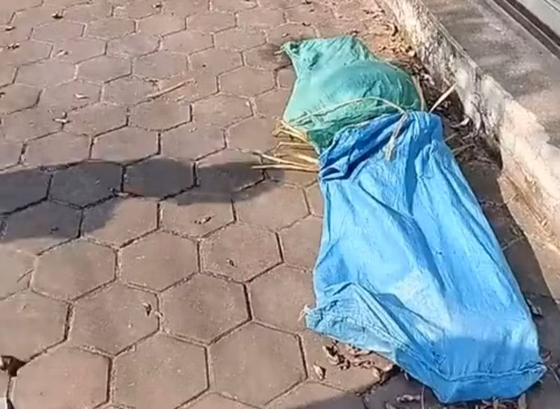 Thi the nu trong bao dua o Hai Phong: Nghi pham doi mat may toi danh?-Hinh-2