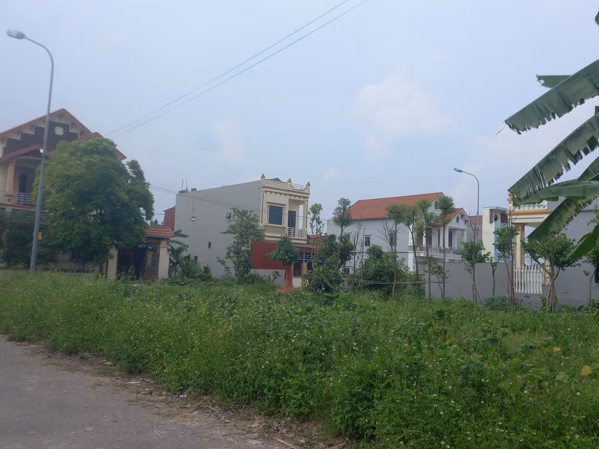 Hai Duong: Tai dinh cu nhuong dat cao toc, nguoi dan 13 nam doi cap so do-Hinh-2