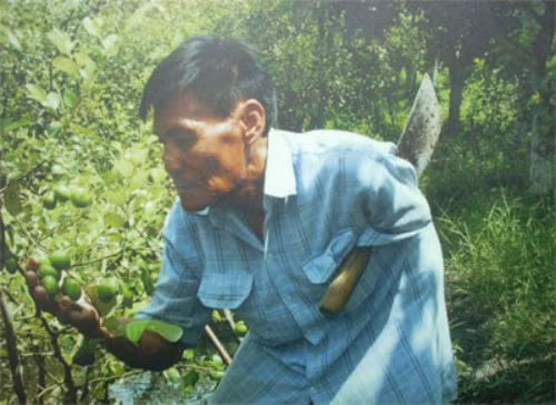 Chum anh: Nhung thuong binh vuot kho lam giau-Hinh-3