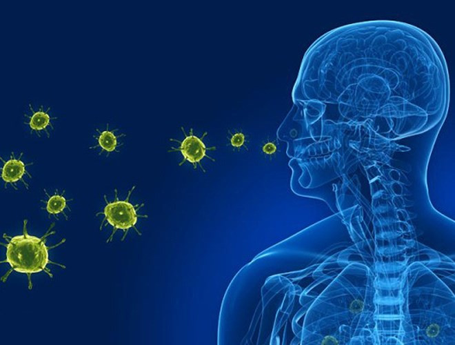Viêm phổi do nhiễm virus: Có thể là hậu quả của virus hợp bào hô hấp (RSV) hoặc virus cúm dạng A và B.