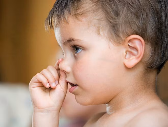 Theo nghiên cứu này, mọi người có thể mắc viêm phổi nếu trên tay có vi khuẩn, rồi dùng ngón tay chọc vào mũi hay chà xát mũi bằng tay. Trẻ em lại là đối tượng dễ bị nhiễm bệnh vì thói quen xấu này.