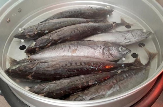  Cá ngừ ồ chứa ít chất béo và calo nhưng rất giàu protein và nhiều dưỡng chất quan trọng khác. Ảnh: kenhso5.