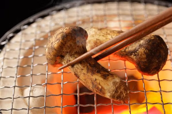 Thậm chí, tại cuộc gặp Bàn Môn Điếm năm 2018, lãnh đạo Triều Tiên đã gửi 3 tấn nấm tươi matsutake với trị giá 2,6 triệu USD (gần 6 tỷ đồng), cho Tổng thống Hàn Quốc. Ảnh: vtimes.