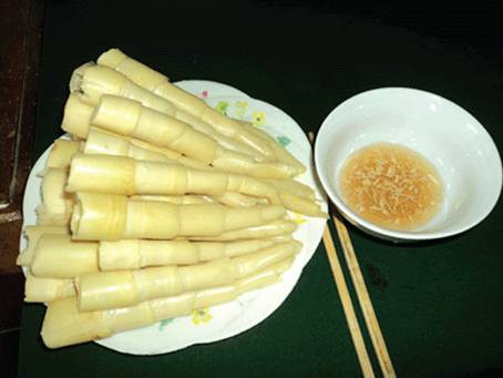 Trước đây, măng sặt mọc tự nhiên ở những khe suối trong khu rừng rậm, nhưng ngày nay, trồng nhiều để đáp ứng nhu cầu của người tiêu dùng. Ảnh: bizwebmedia.