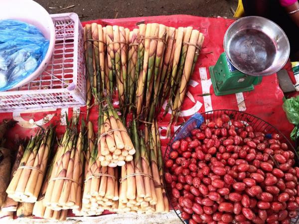 Thời điểm tốt nhất để hái măng sặt là vào buổi sớm để măng ăn ngọt. Nếu hái măng vào quá trưa, măng sẽ khô và đắng, không còn giữ được hương vị vốn có của loại măng này. Ảnh: tintuc.