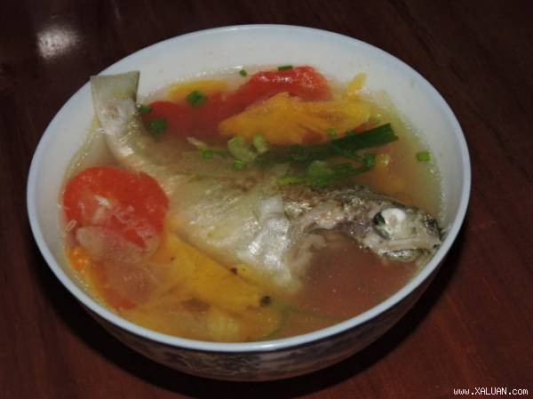 Cá sạo thuộc nhóm cá ăn thịt, sống gần bờ, phân bố trong các vùng biển nhiệt đới. Ảnh: xaluan.