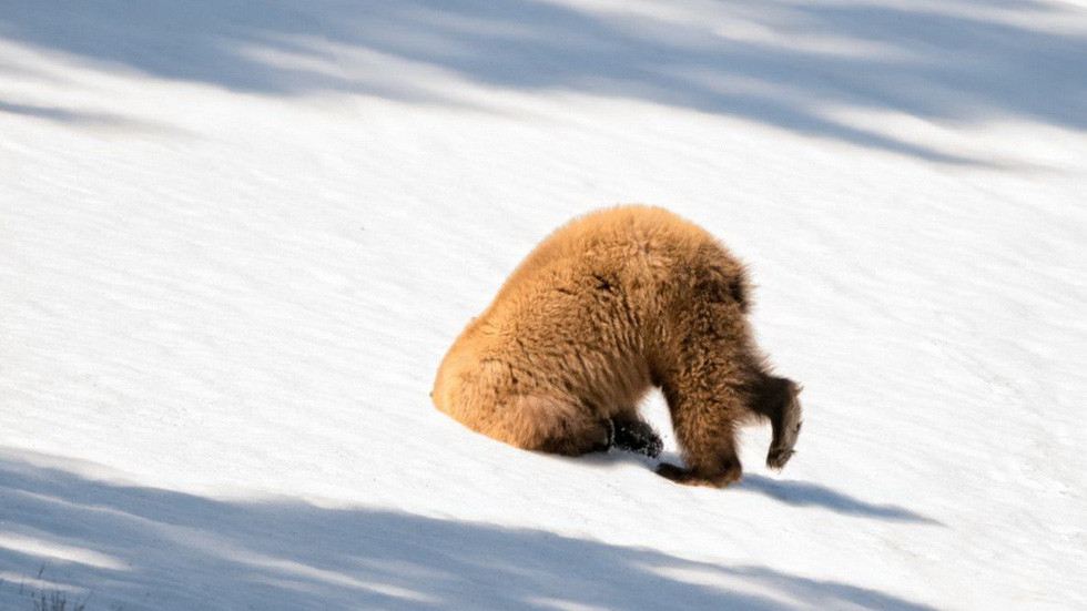 Nắng quá đi thôi