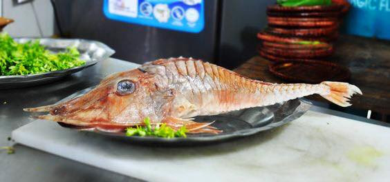 Cá chào mào gai sống ở vùng nước rất sâu nên cực hiếm. Hiện các nhà khoa học vẫn chưa xác định được số lượng cá chào mào gai ngoài tự nhiên ở biển Việt Nam. Ảnh: fbcdn.