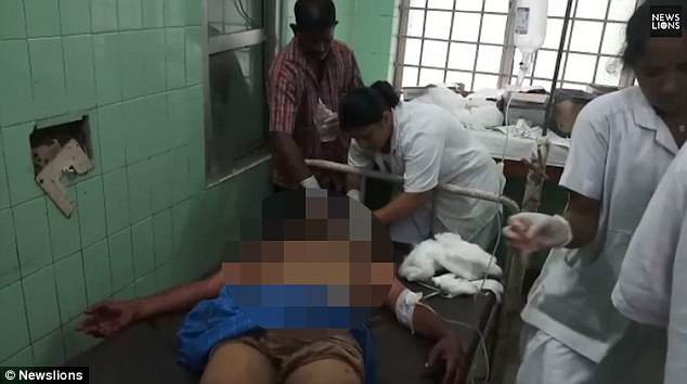 Tháng 6/2018, tại huyện Srikakulam, bang Andhra Pradesh vợ chồng bà Baipilli Urvasi – 50 tuổi và ông Tirupathi Rao – 55 tuổi đã bị thiệt mạng do gấu tấn công. Ngay khi phát hiện sự việc, dân làng đã lập tức đưa cả hai vợ chồng đến bệnh viện Palasa nhưng đã quá muộn. Sau khi vồ chết hai vợ chồng bà Urvasi, con gấu tiếp tục giết chết nhiều vật nuôi, và khiến nhiều dân làng bị thương. Không lâu sau con gấu đã bị dân làng bắt được, dùng gậy đánh và ném đá cho đến chết.