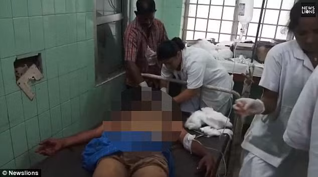 Tháng 6/2018, tại huyện Srikakulam, bang Andhra Pradesh vợ chồng bà Baipilli Urvasi – 50 tuổi và ông Tirupathi Rao – 55 tuổi đã bị thiệt mạng do gấu tấn công. Ngay khi phát hiện sự việc, dân làng đã lập tức đưa cả hai vợ chồng đến bệnh viện Palasa nhưng đã quá muộn. Sau khi vồ chết hai vợ chồng bà Urvasi, con gấu tiếp tục giết chết nhiều vật nuôi, và khiến nhiều dân làng bị thương. Không lâu sau con gấu đã bị dân làng bắt được, dùng gậy đánh và ném đá cho đến chết.