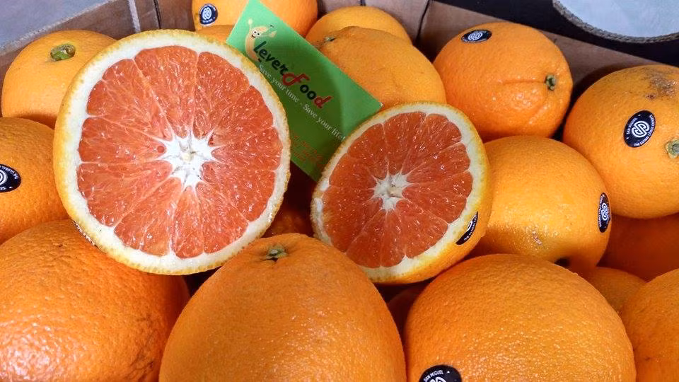 Hiện nay, ở Việt Nam, cam Cara đã được trồng ở Lâm Đồng và một số tỉnh Miền Bắc. Cây không kén đất và ít sâu bệnh. Ảnh: bizwebmedia.