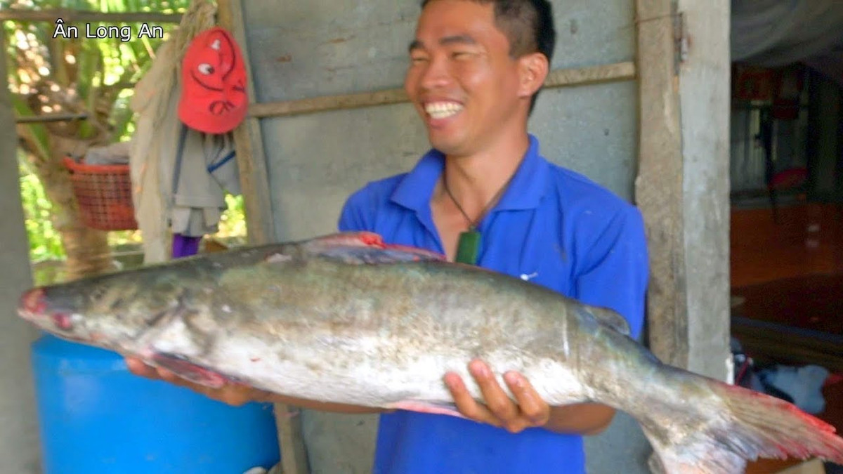 Cá rún chế biến món gì cũng ngon nhưng đối với các bà nội trợ miền Tây, khô cá rún “đệ nhất” ngon. Ảnh: ytimg.