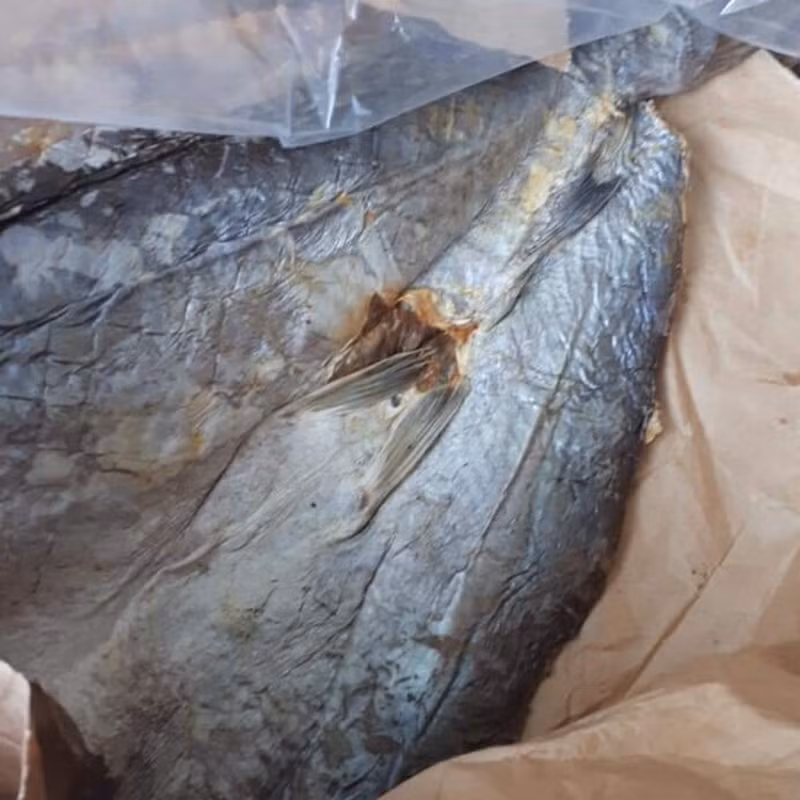 Cá rún có thể nấu thành nhiều món và nhiều cách thức khác nhau nhưng đều cho một hướng vị rất hấp dẫn. Ảnh: thitruongsi.