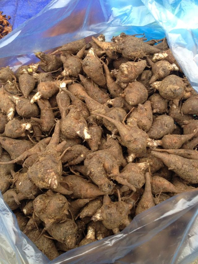 Món cháo đặc sản này thậm chí đã có mặt ở nhiều vùng ở Việt Nam, trong đó có thành phố Hồ Chí Minh. Ảnh: lozi.